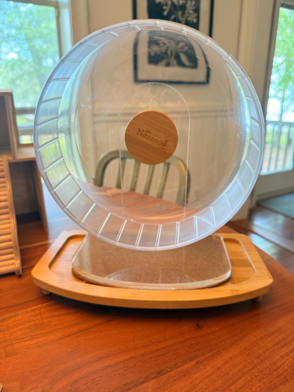 Niteangel Super Silent Hamster Wheel